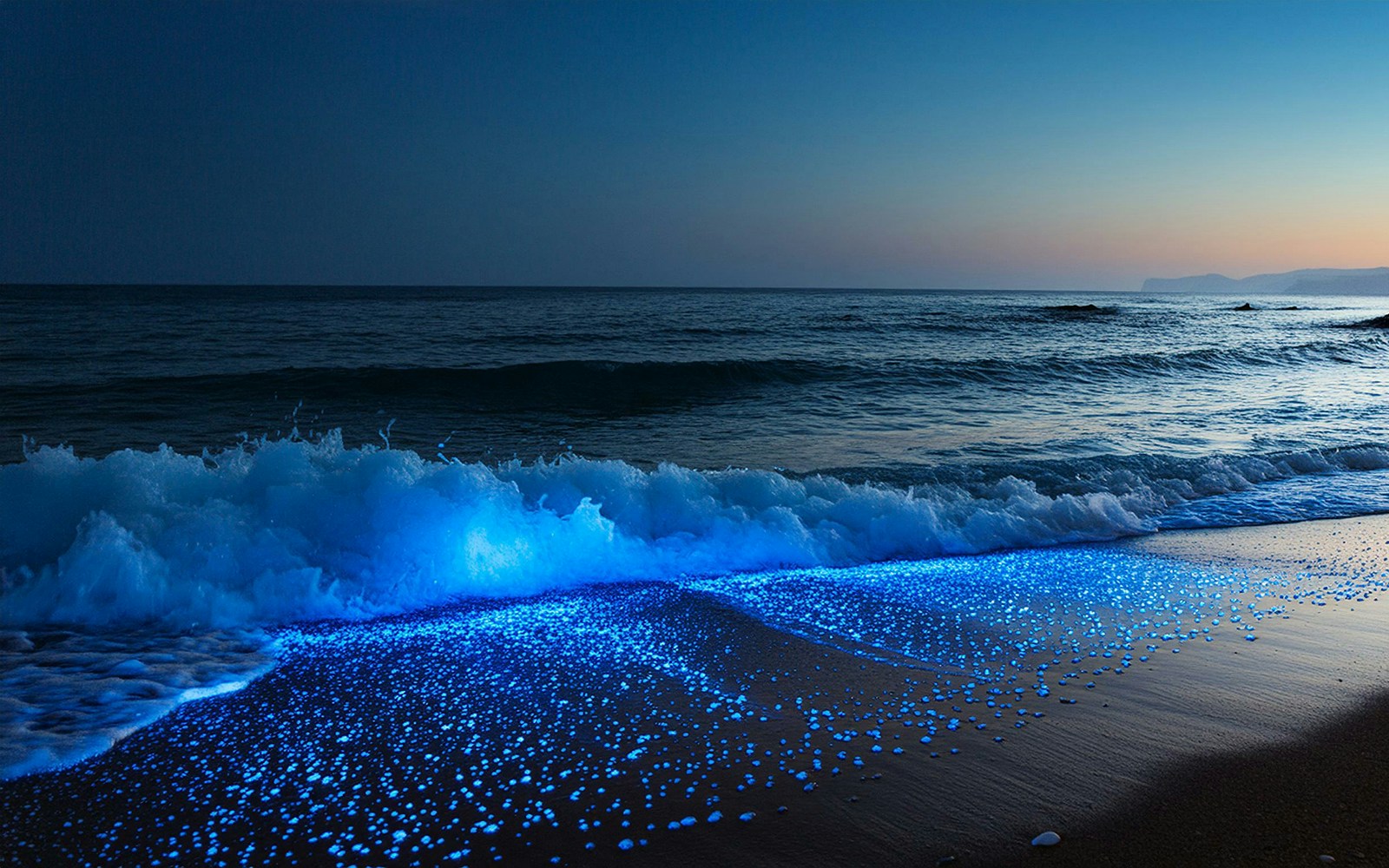Waves glowing with bioluminescent plankton on a beach at dusk.