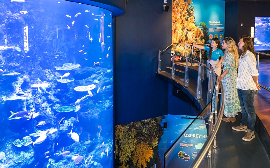 Visitors observing marine life at Cairns Aquarium through a large tank display.