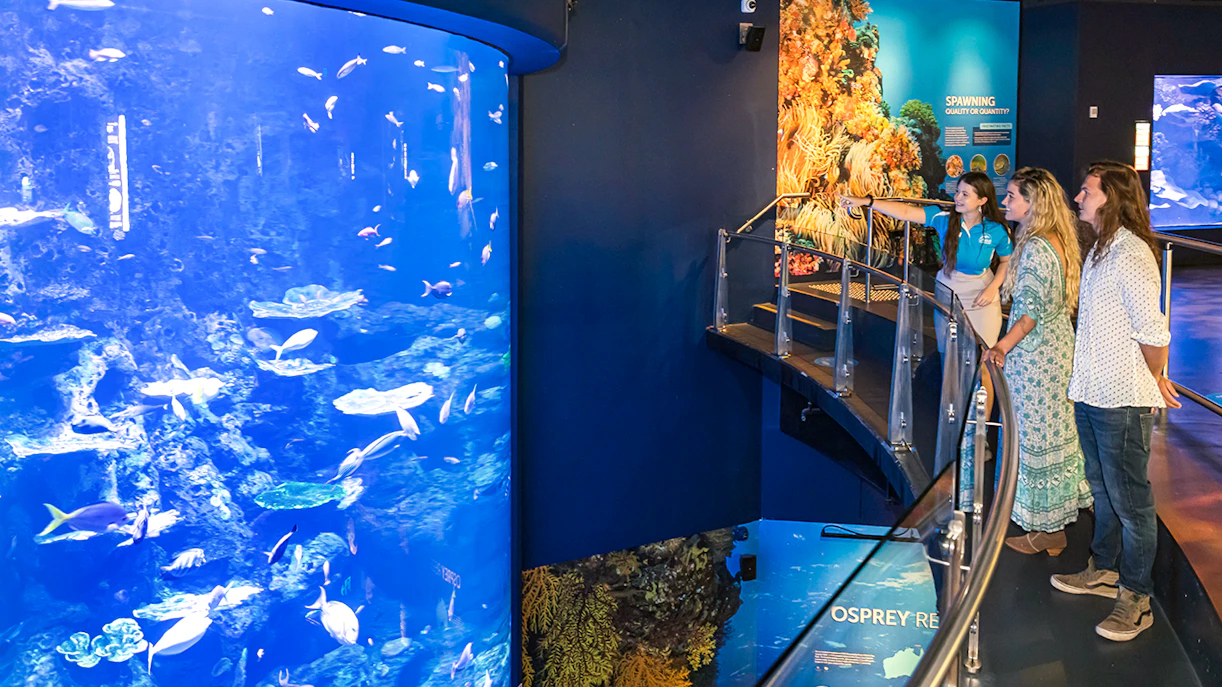 Guest at Cairns Aquarium