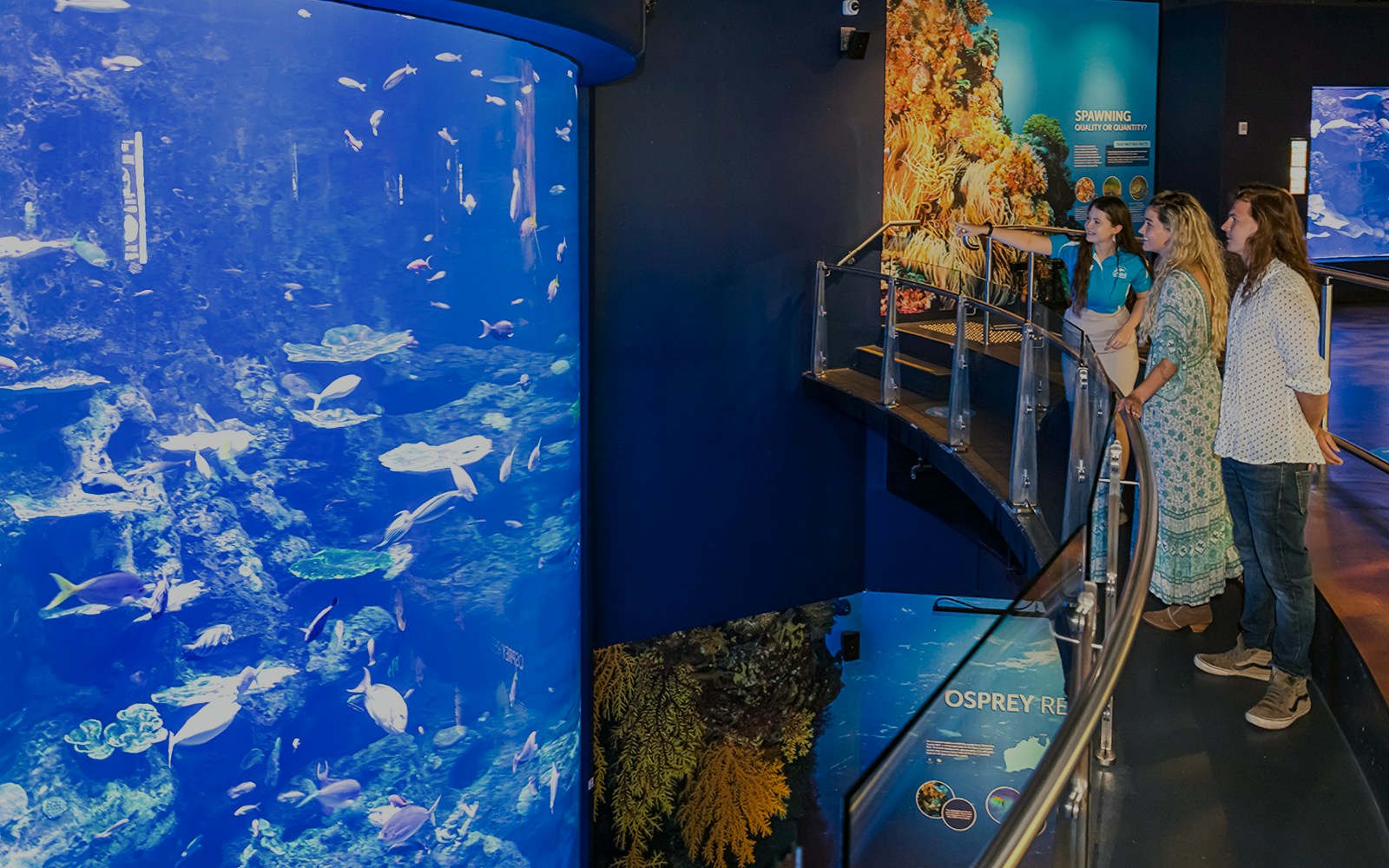 Guest at Cairns Aquarium