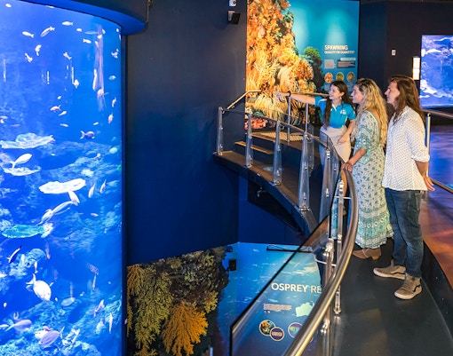 Guest at Cairns Aquarium