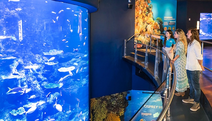 Visitors observing marine life at Cairns Aquarium through a large tank display.