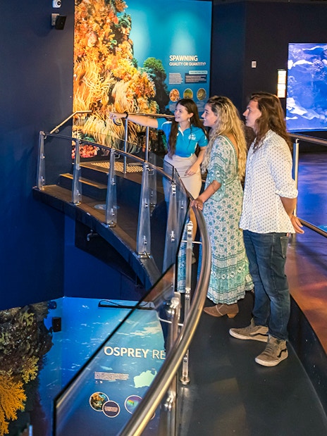 Visitors observing marine life at Cairns Aquarium through a large tank display.
