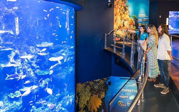 Visitors observing marine life at Cairns Aquarium through a large tank display.