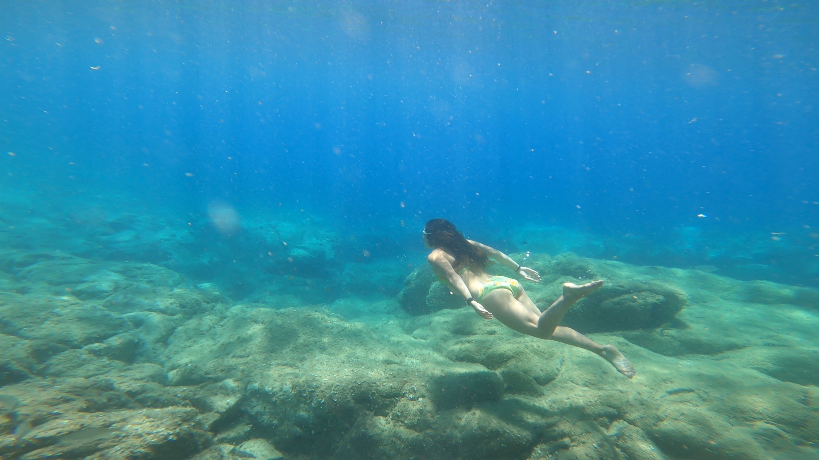 Snorkel
