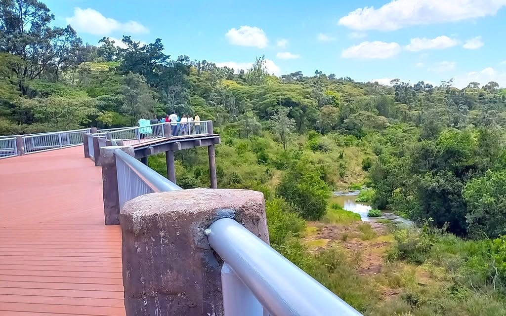 Boardwalk overlooking lush greenery at Nairobi Safari Walk.