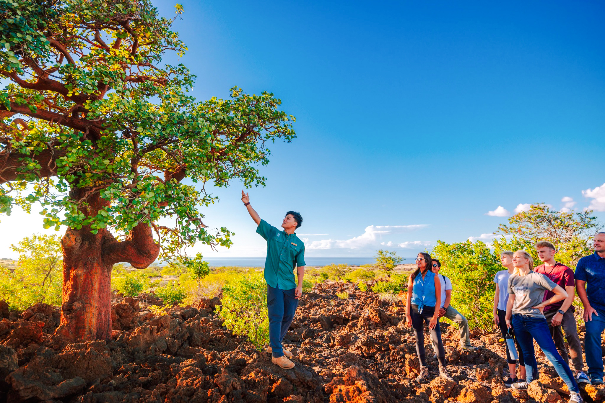 Guide explaining tree to group on Maunakea Summit & Stars tour.