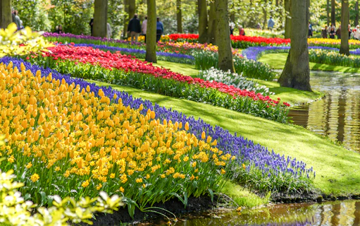 Tulips and colorful flowers along a pond at Keukenhof Gardens, Netherlands.