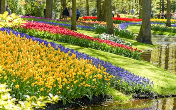 Tulips and colorful flowers along a pond at Keukenhof Gardens, Netherlands.