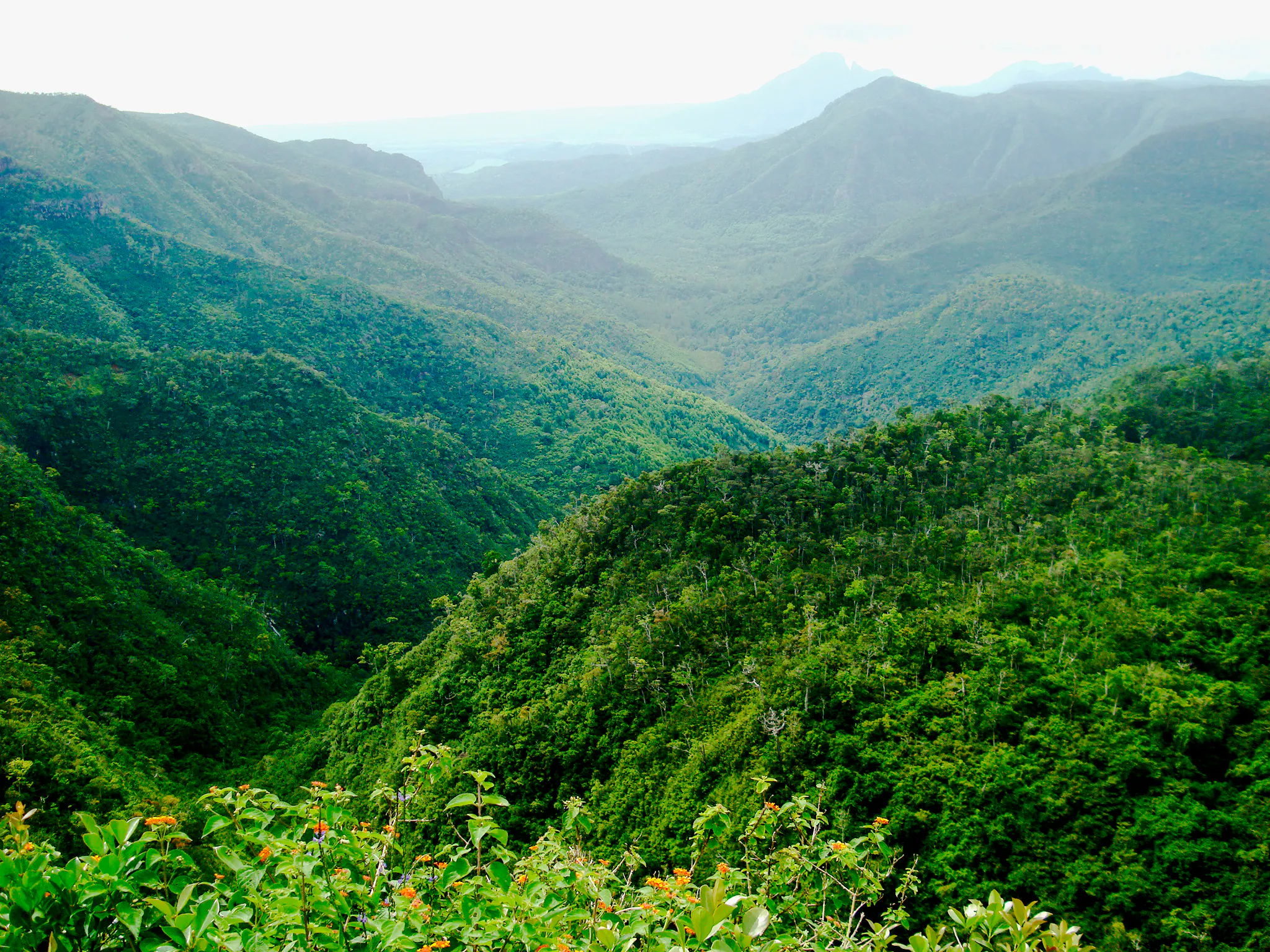 Southwest Mauritius Private Day Tour with Takamaka Winery Visit and Lunch Image 12