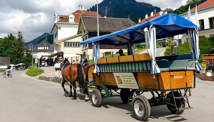 Horse carriage ride to Neuschwanstein Castle with mountain backdrop.