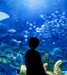 L'Acquario di Sharjah