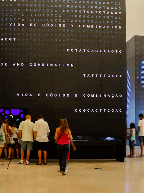 Tourists exploring interactive displays inside Aquário Aquarium.