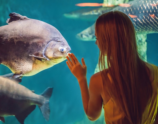 Acquario Parigi biglietti