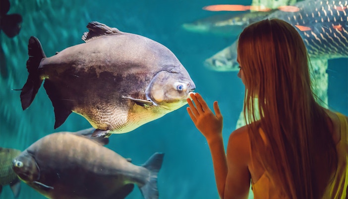 Planeta Acqua Barcelona Aquarium