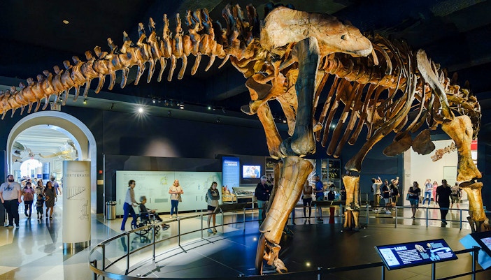 Visitors exploring exhibits at the Miriam and Ira D. Wallach Orientation Center, American Museum of Natural History.