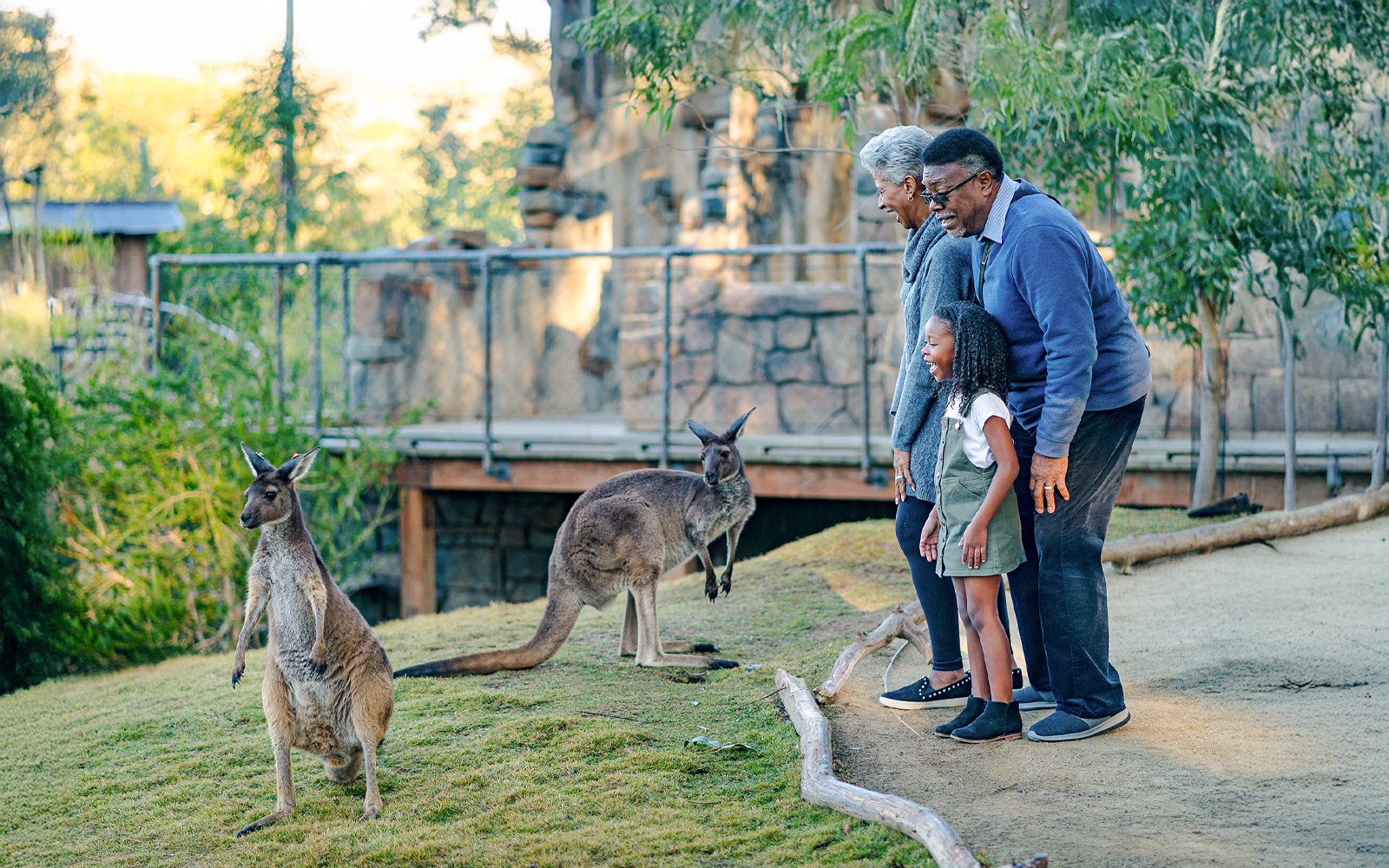 Child with grandparents observing kangaroos at San Diego Zoo Safari Park.