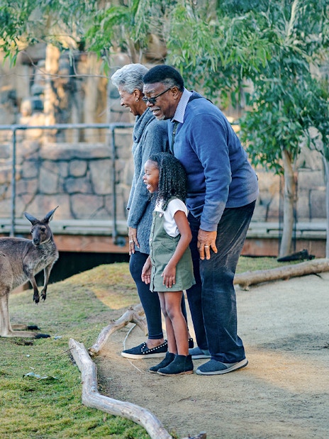 Child with grandparents observing kangaroos at San Diego Zoo Safari Park.