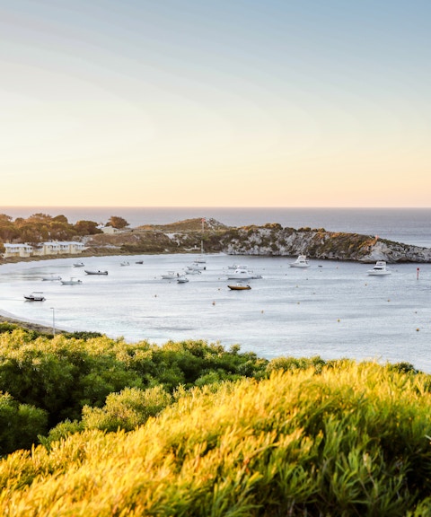 Snorkeling boats anchored in a bay near Perth with coastal landscape.
