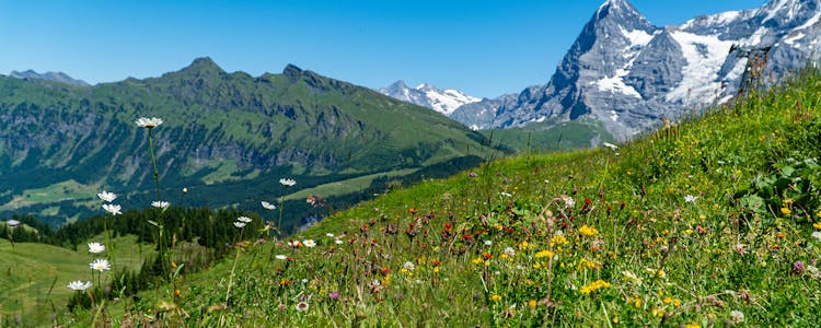 Schilthorn mountain