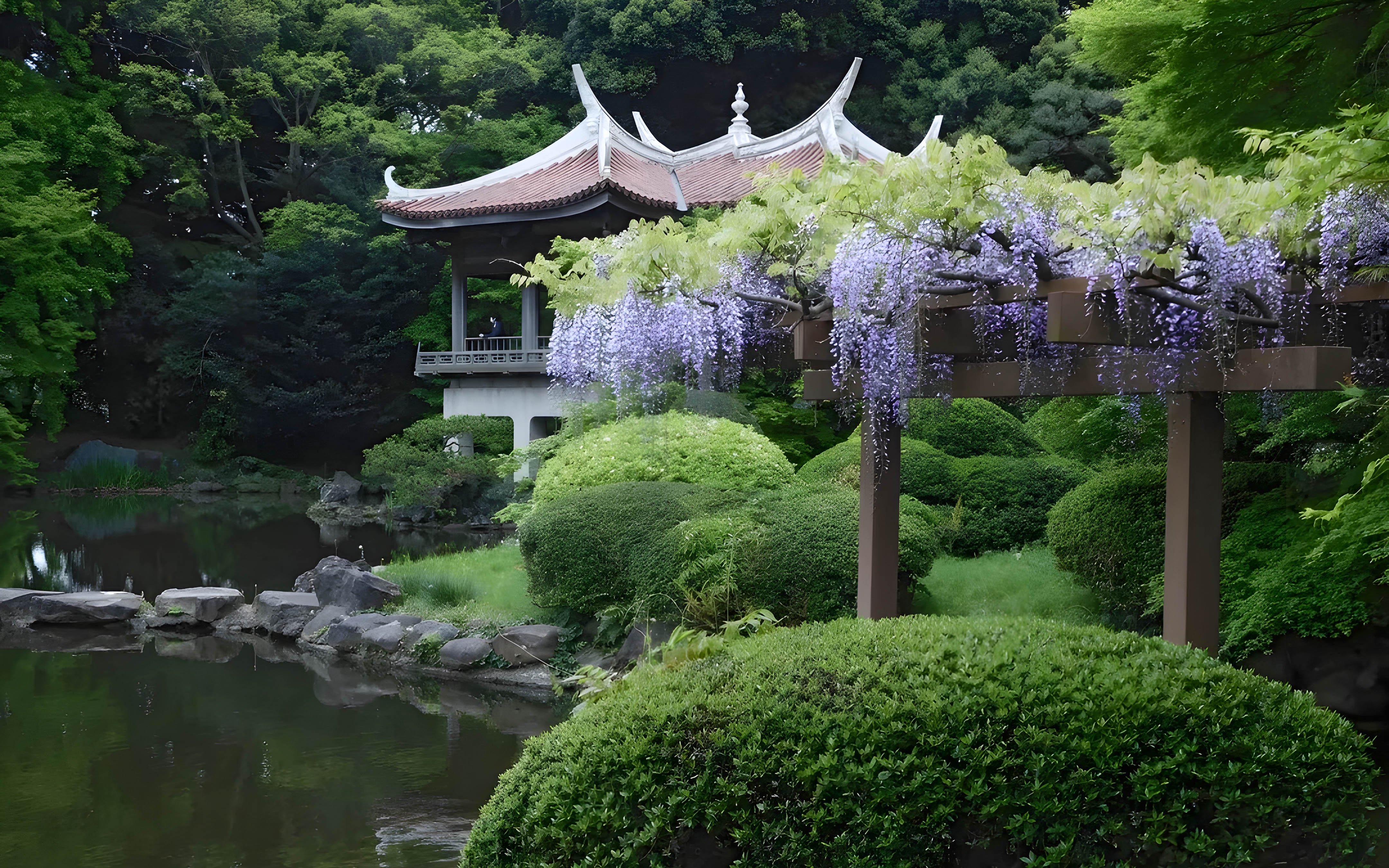 Wisteria blooms near a traditional pavilion in Shinjuku Gyoen, Tokyo.