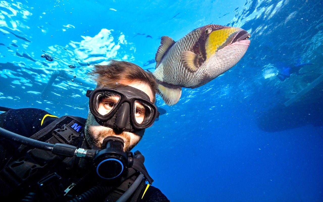Scuba diver with fish in Red Sea, Hurghada.