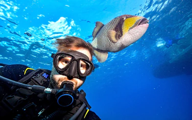 Scuba diver with fish in Red Sea, Hurghada.