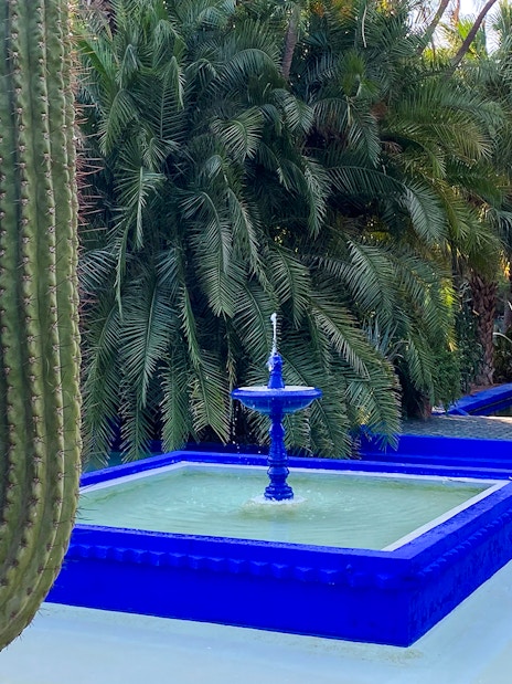 Fountain and cacti in Jardin Majorelle, Marrakech, surrounded by lush greenery.