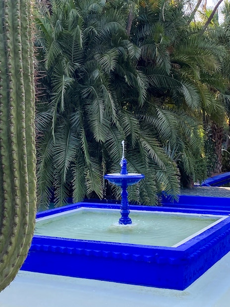Fountain and cacti in Jardin Majorelle, Marrakech, surrounded by lush greenery.