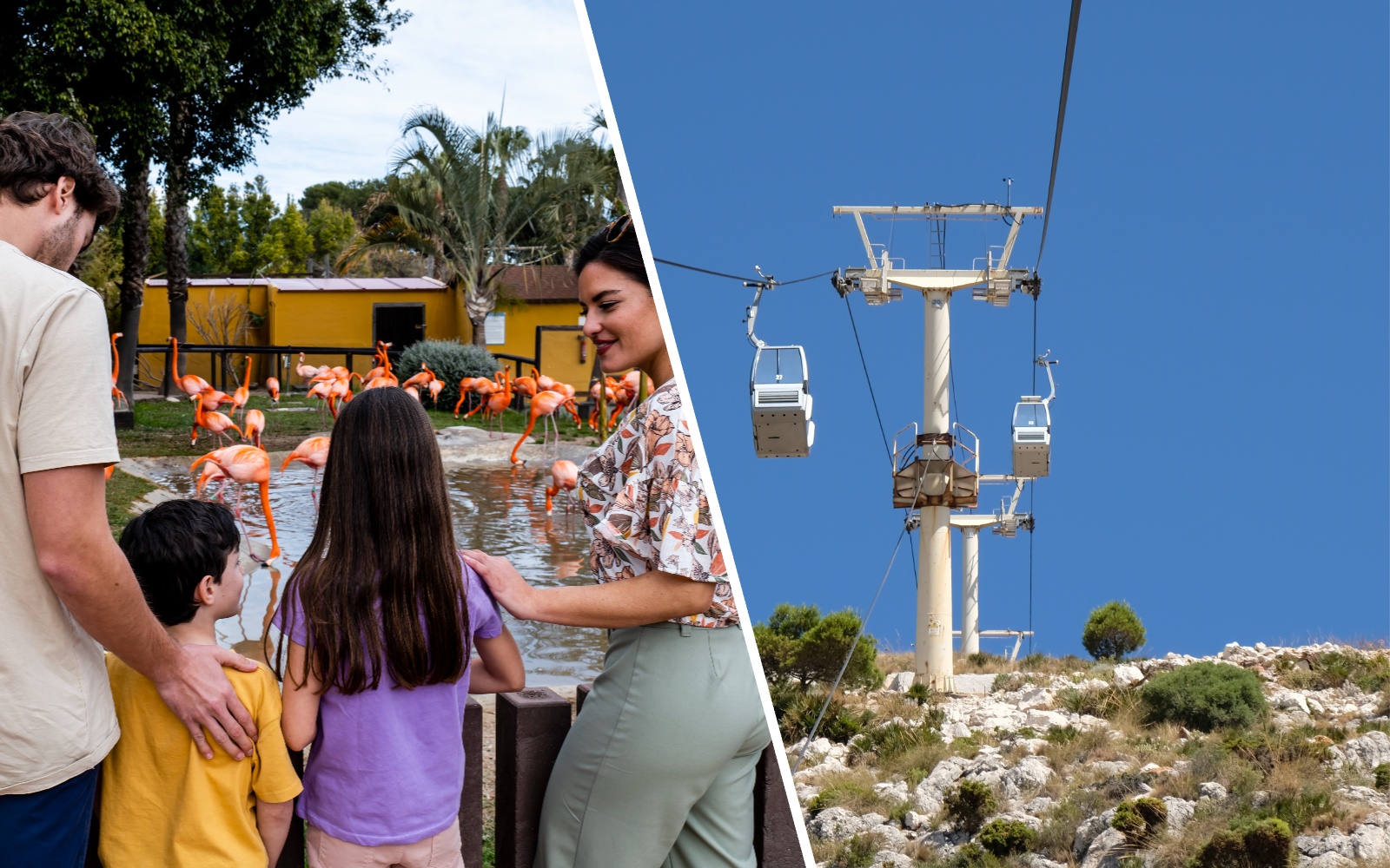 Tourists with children observing flamingos at Selwo Marina, Malaga.