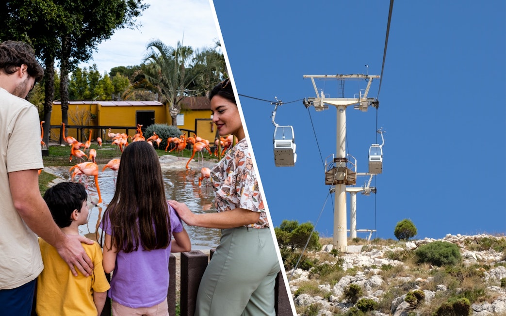 Tourists with children observing flamingos at Selwo Marina, Malaga.