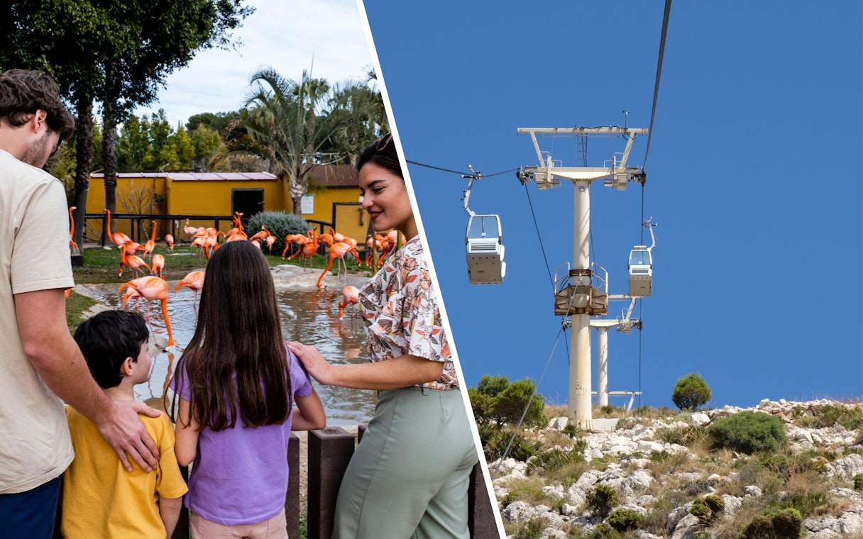 Tourists with children observing flamingos at Selwo Marina, Malaga.