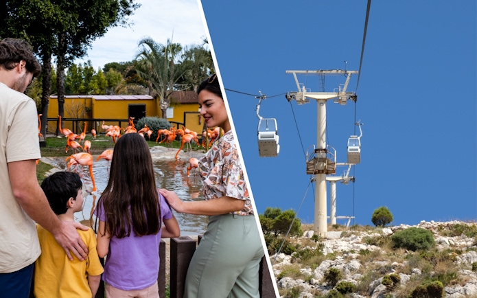 Tourists with children observing flamingos at Selwo Marina, Malaga.