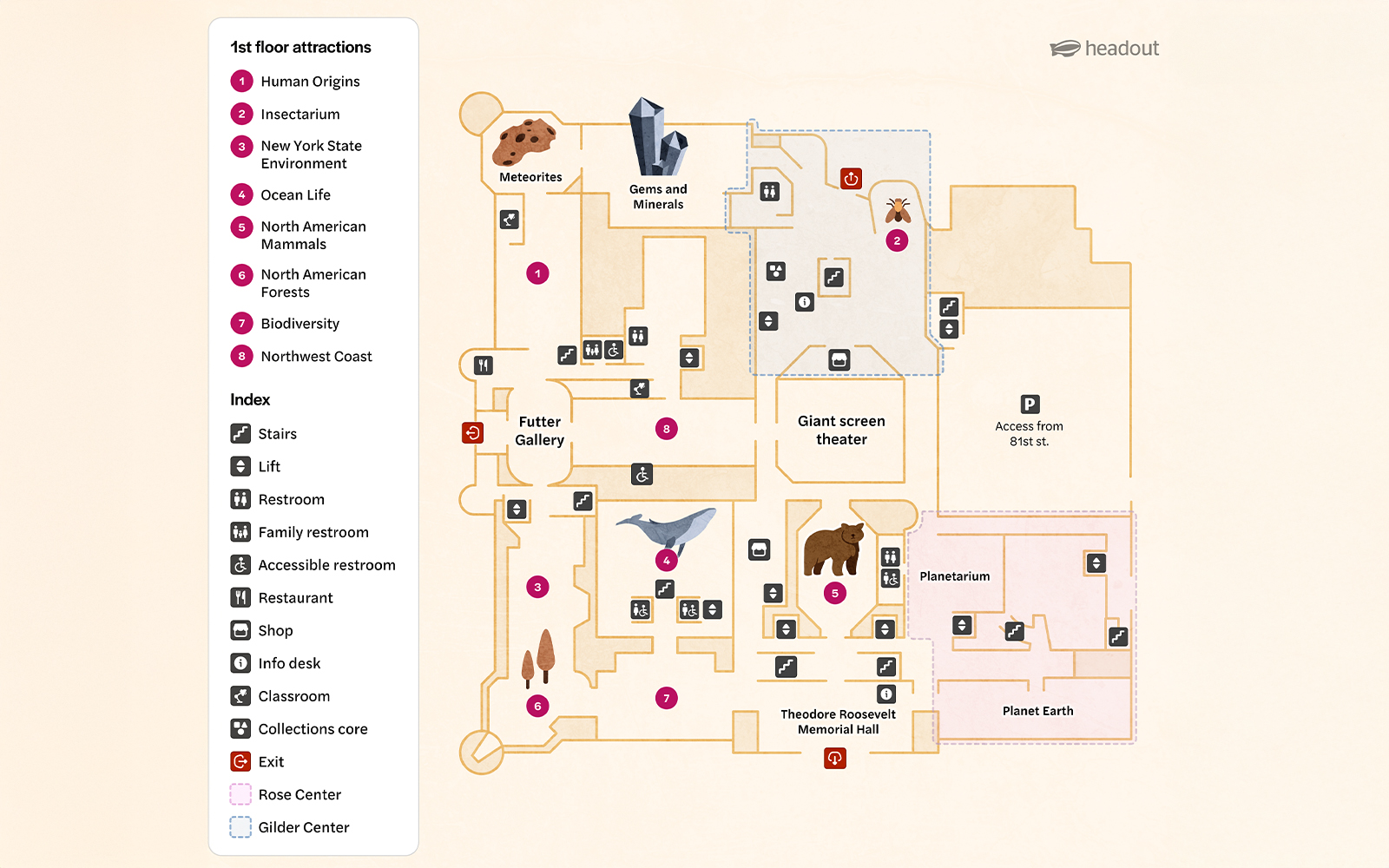 1st Floor map of American Museum of Natural History, New York, showing attractions and facilities.