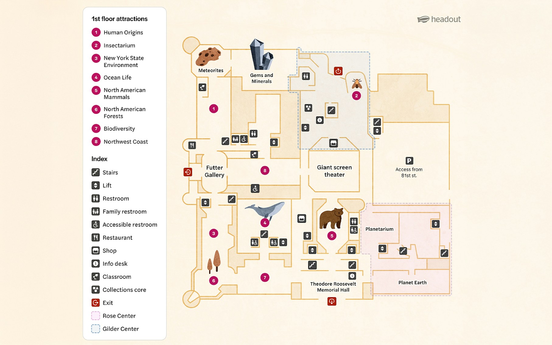 1st Floor map of American Museum of Natural History, New York, showing attractions and facilities.