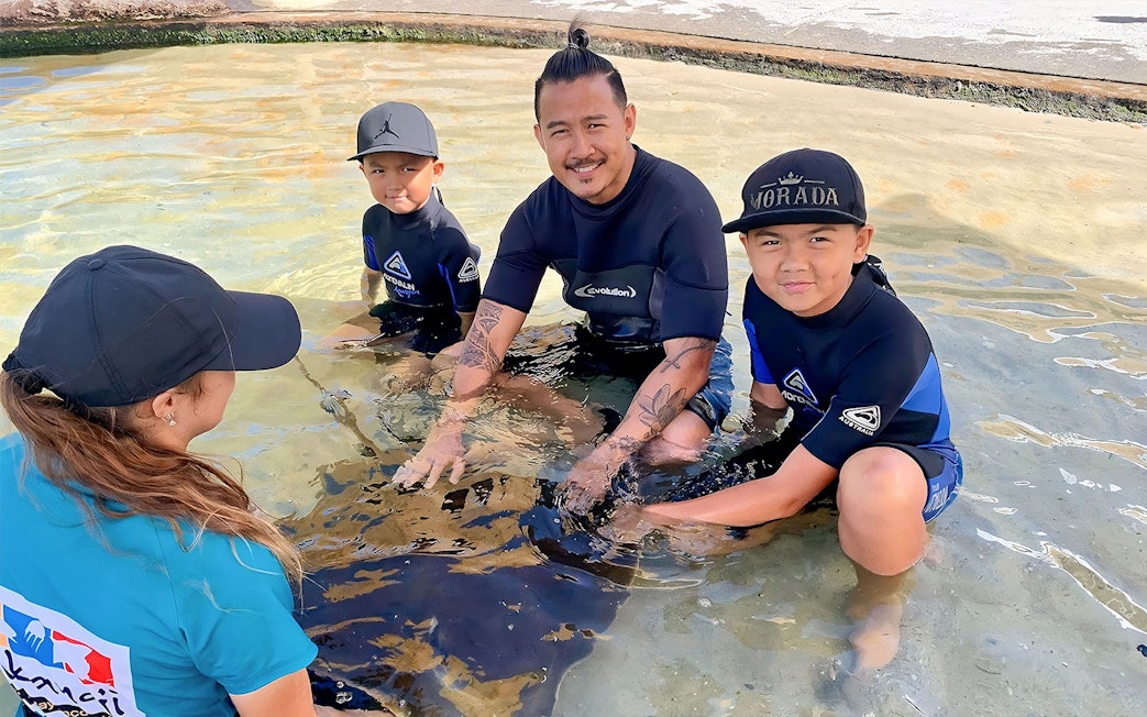 Visitors interacting with a ray at Irukandji, Australia, during the Little Ray Cuddle experience.