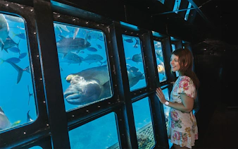 Tourist viewing marine life through semisubmersible windows at Moore Reef, Great Barrier Reef, Australia.