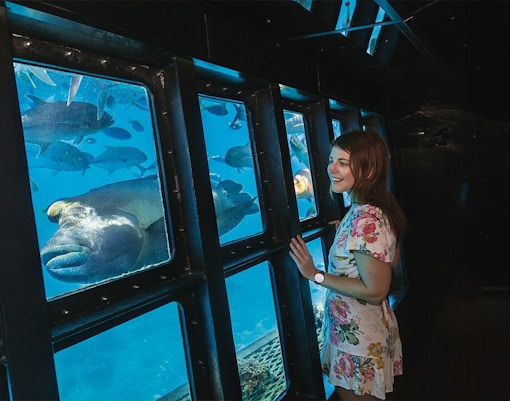 Tourist viewing marine life through semisubmersible windows at Moore Reef, Great Barrier Reef, Australia.