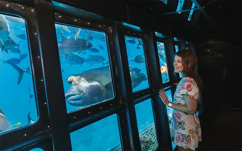 Tourist viewing marine life through semisubmersible windows at Moore Reef, Great Barrier Reef, Australia.