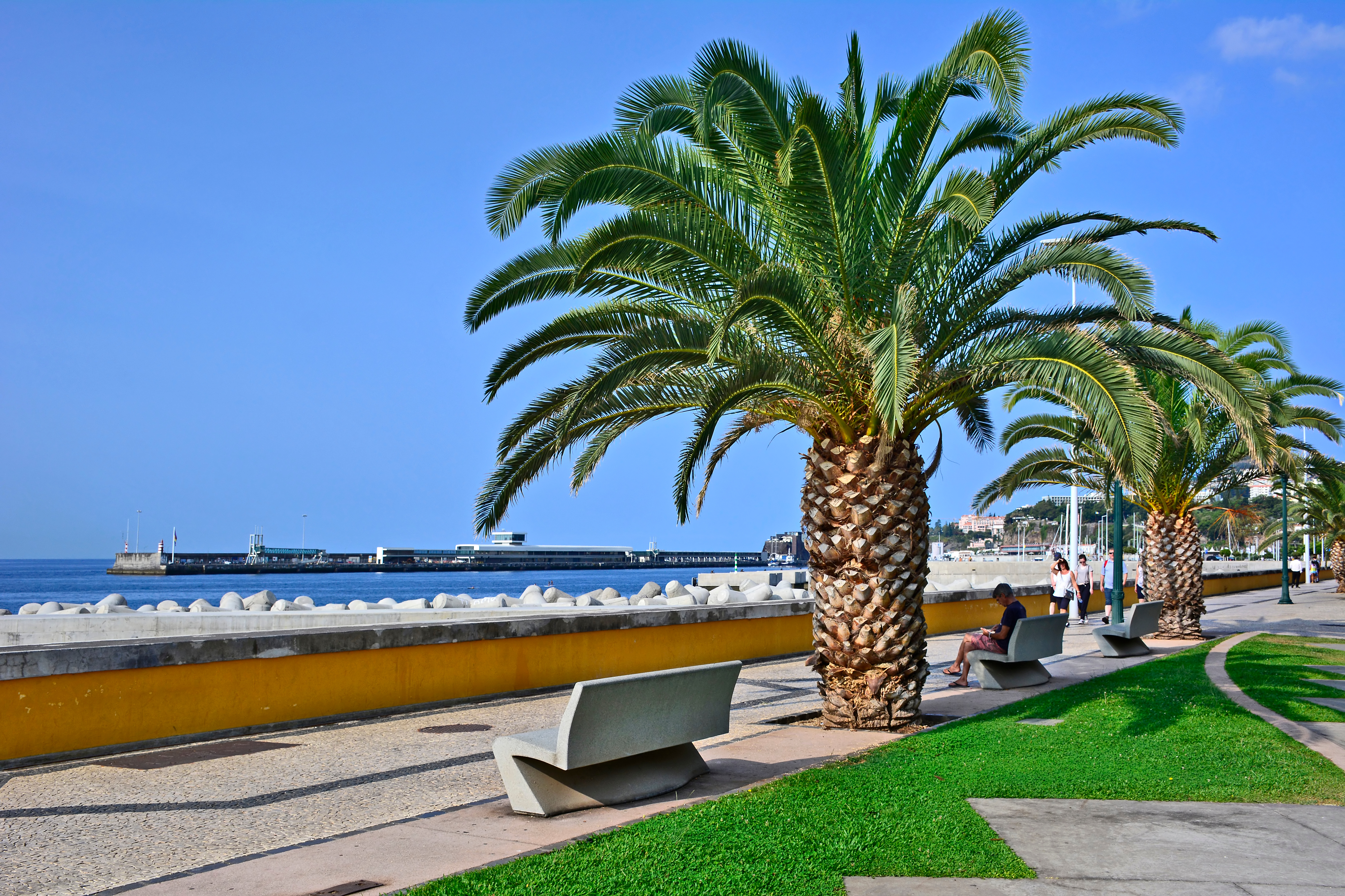 Terminal Avenida do Mar (Funchal Marina)