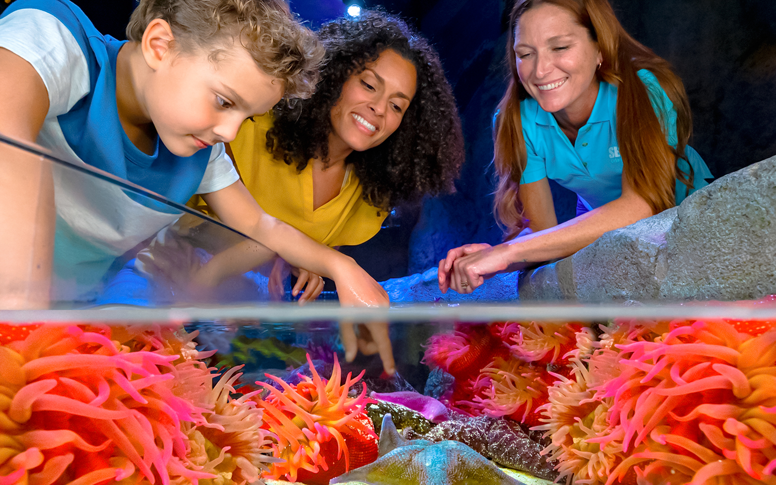 Visitors exploring touch pool with sea anemones at Sea Life Orlando.