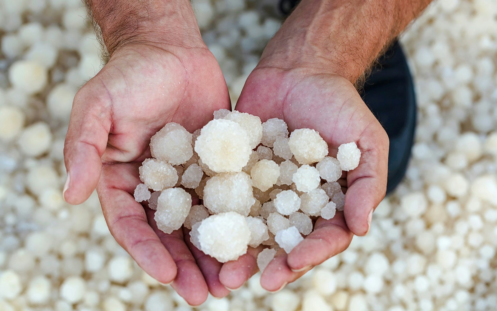 Hands holding large salt crystals.