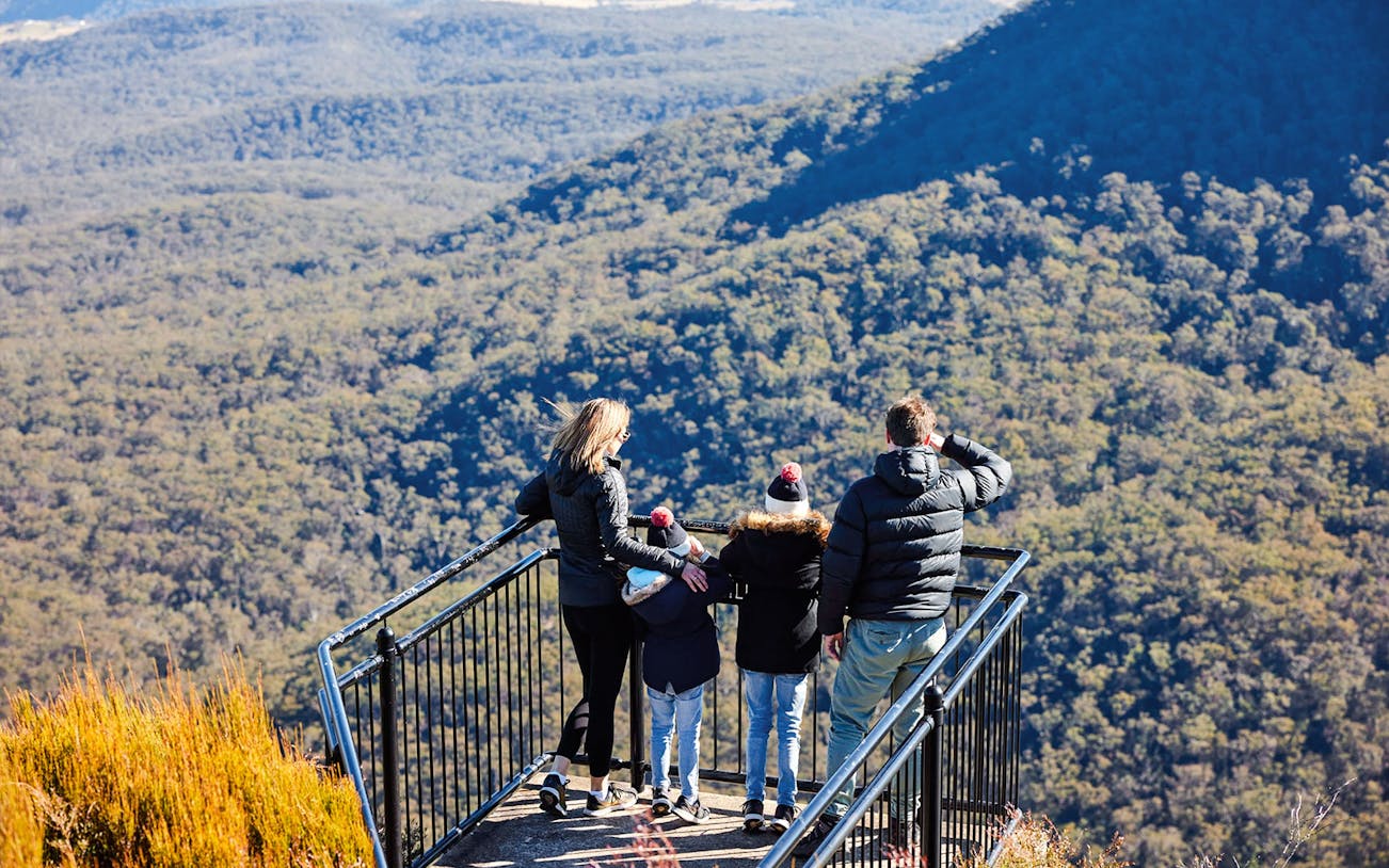 Family at lookout point in Blue Mountains National Park, viewing expansive forest landscape.