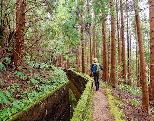 Things to do in Gold Coast