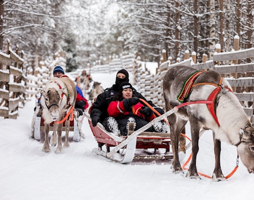 Reindeer sleigh at Santa Claus Village