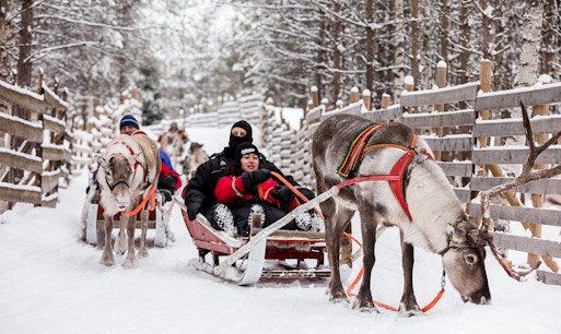 Reindeer sled ride through snowy forest in Lapland.