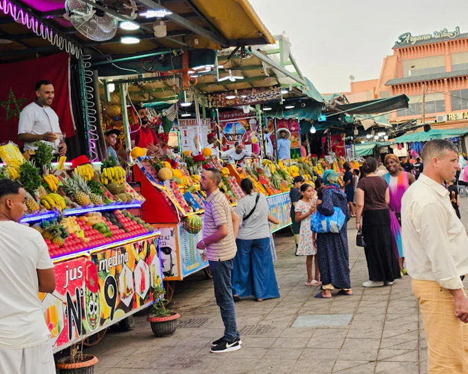 From Casablanca: Marrakech Private Day Trip