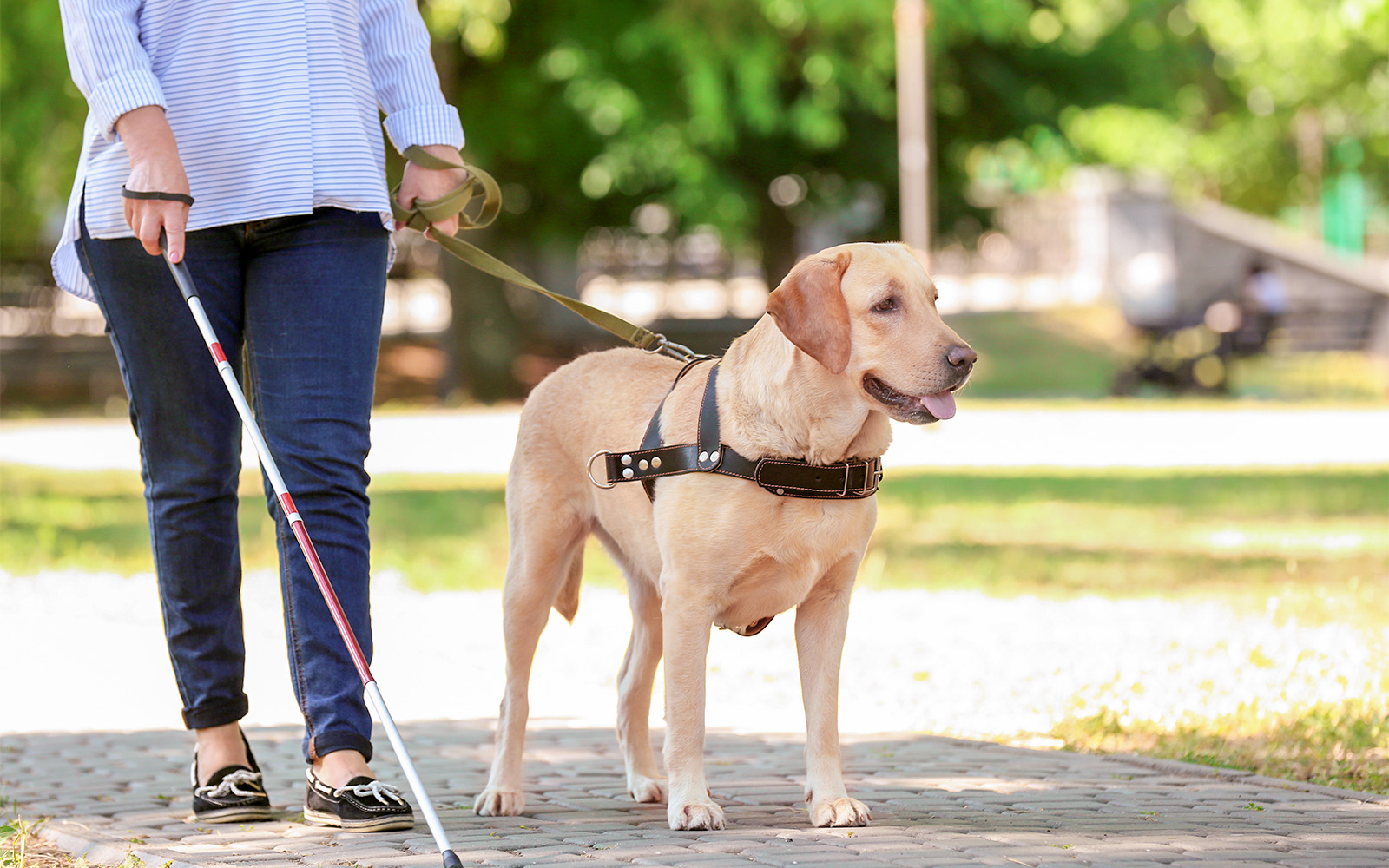 A person with a guide dog walking in NEMO Museum Amsterdam.