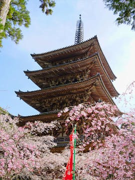 Daigoji Temple
