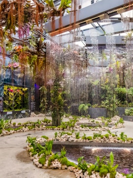Indoor garden with hanging plants and water features at Floral Fantasy, Singapore.